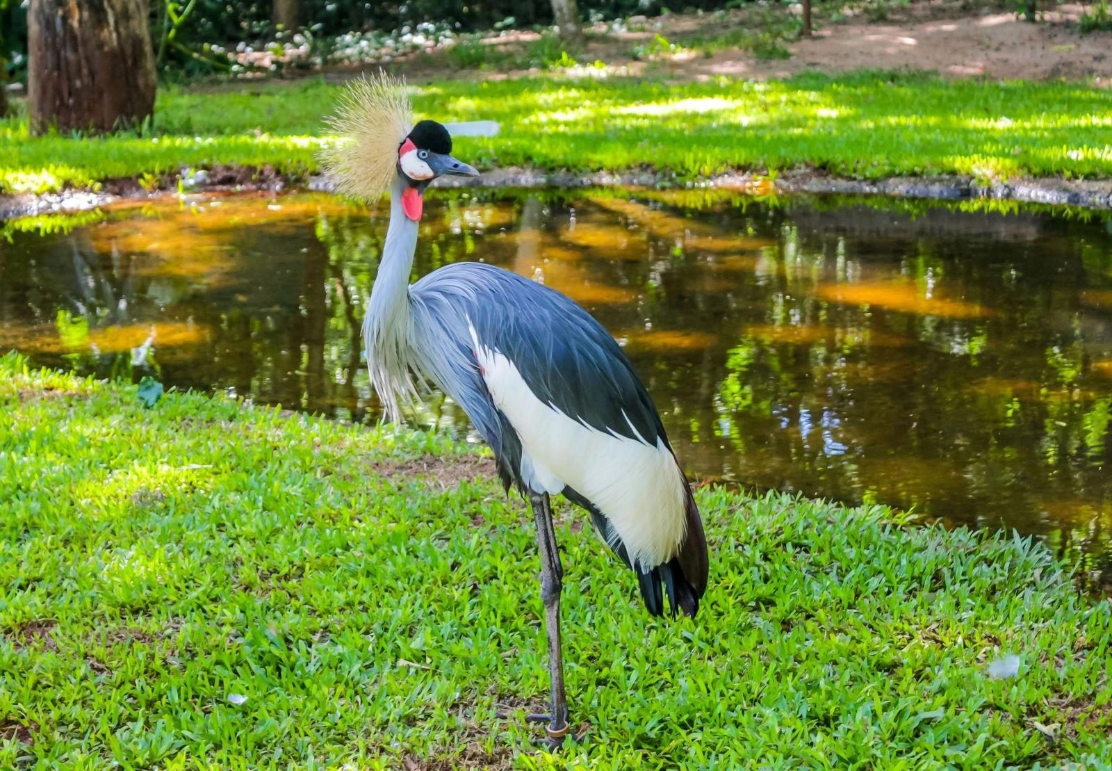 Semuliki Nationaal Park