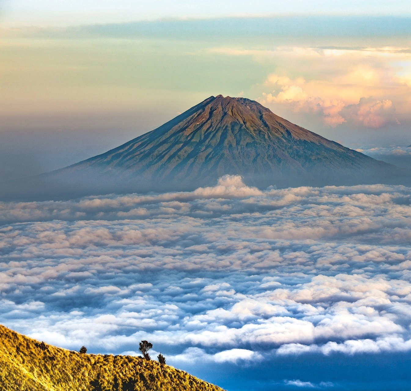 Mount Elgon Nationaal Park