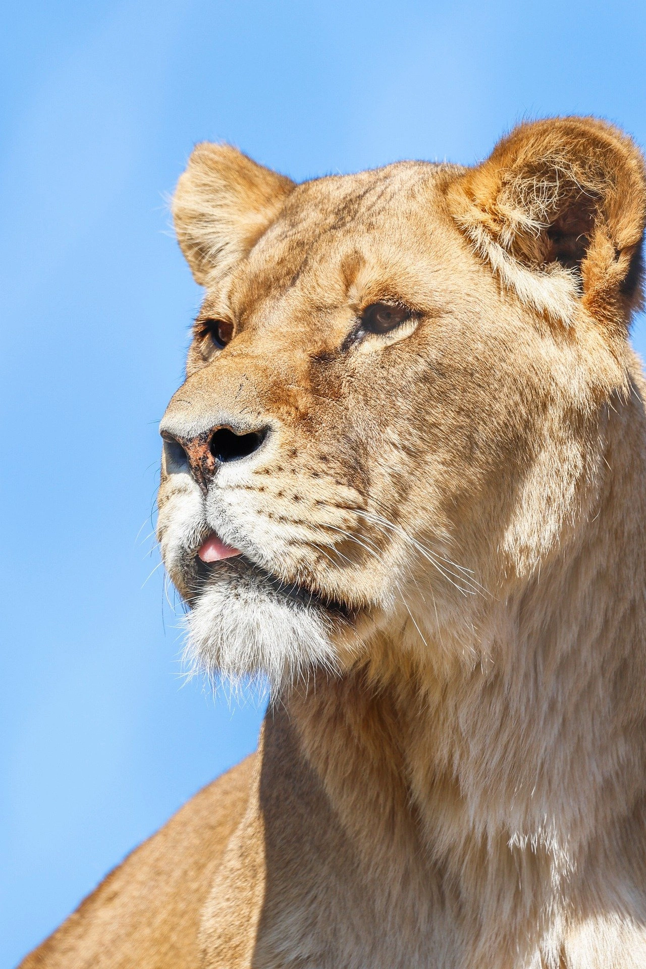 10 dagen authentiek Oeganda 